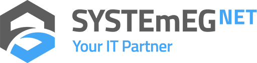 Logo firmy SYSTEmEG NET